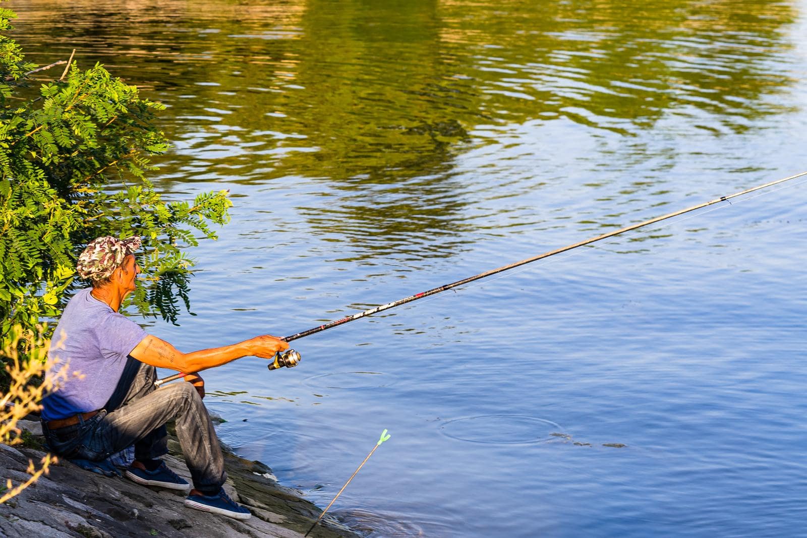 Nourriture Humide Pour Pêche à La Carpe Carp Zoom - 850 G - Prête à L'emploi - Pour Feeder, Boulettes - Appât Très Attractif